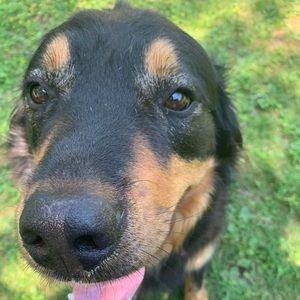 Meet your Posher, Layla